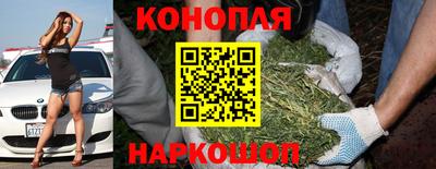 соль ск Заводоуковск