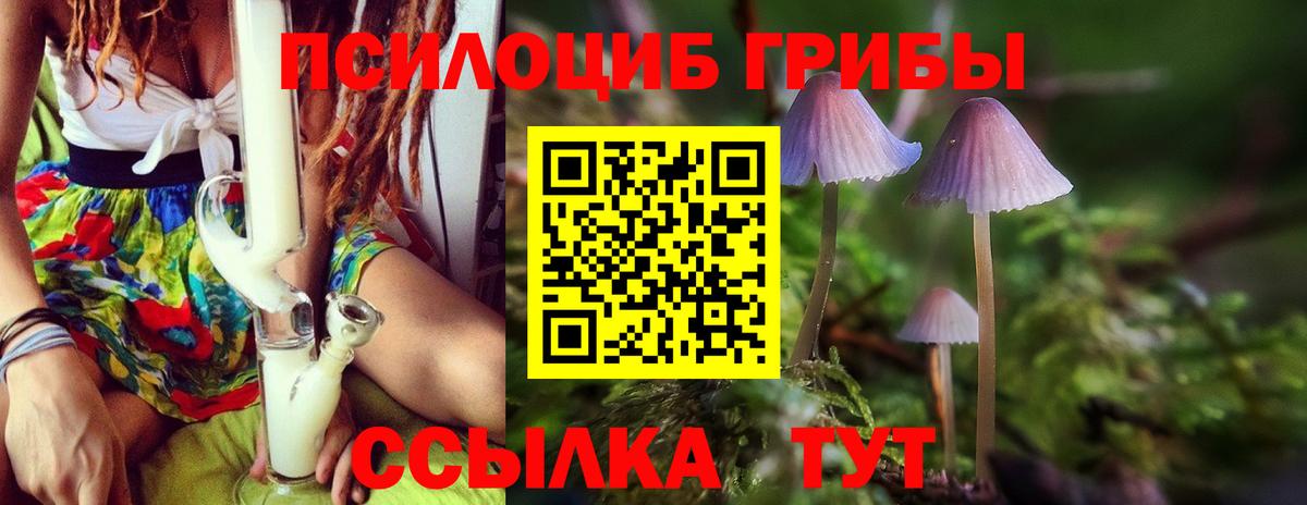 Галлюциногенные грибы ЛСД  Галлюциногенные грибы мицелий  сколько стоит  Вход с VPN  Люберцы 